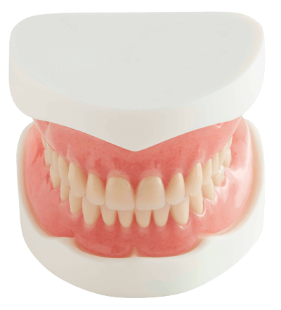 Quest Full Acrylic Denture