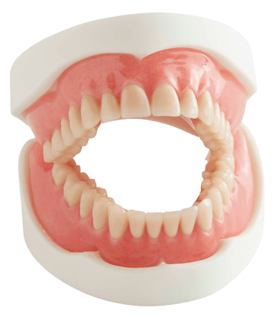 Full Acrylic Dentures