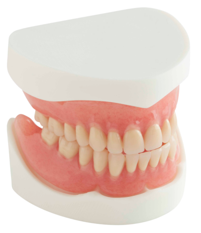 Full Acrylic Dentures